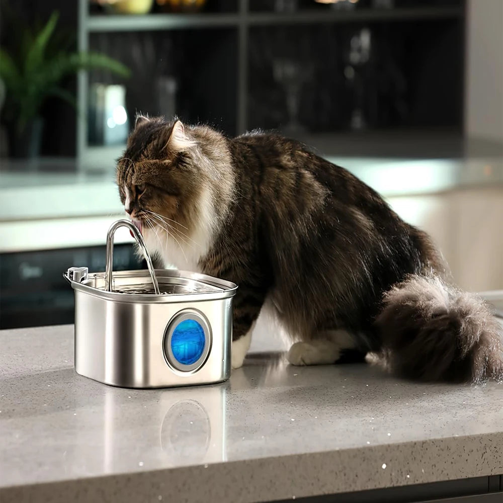 Give Your Cat Years More Healthy Life With Docure