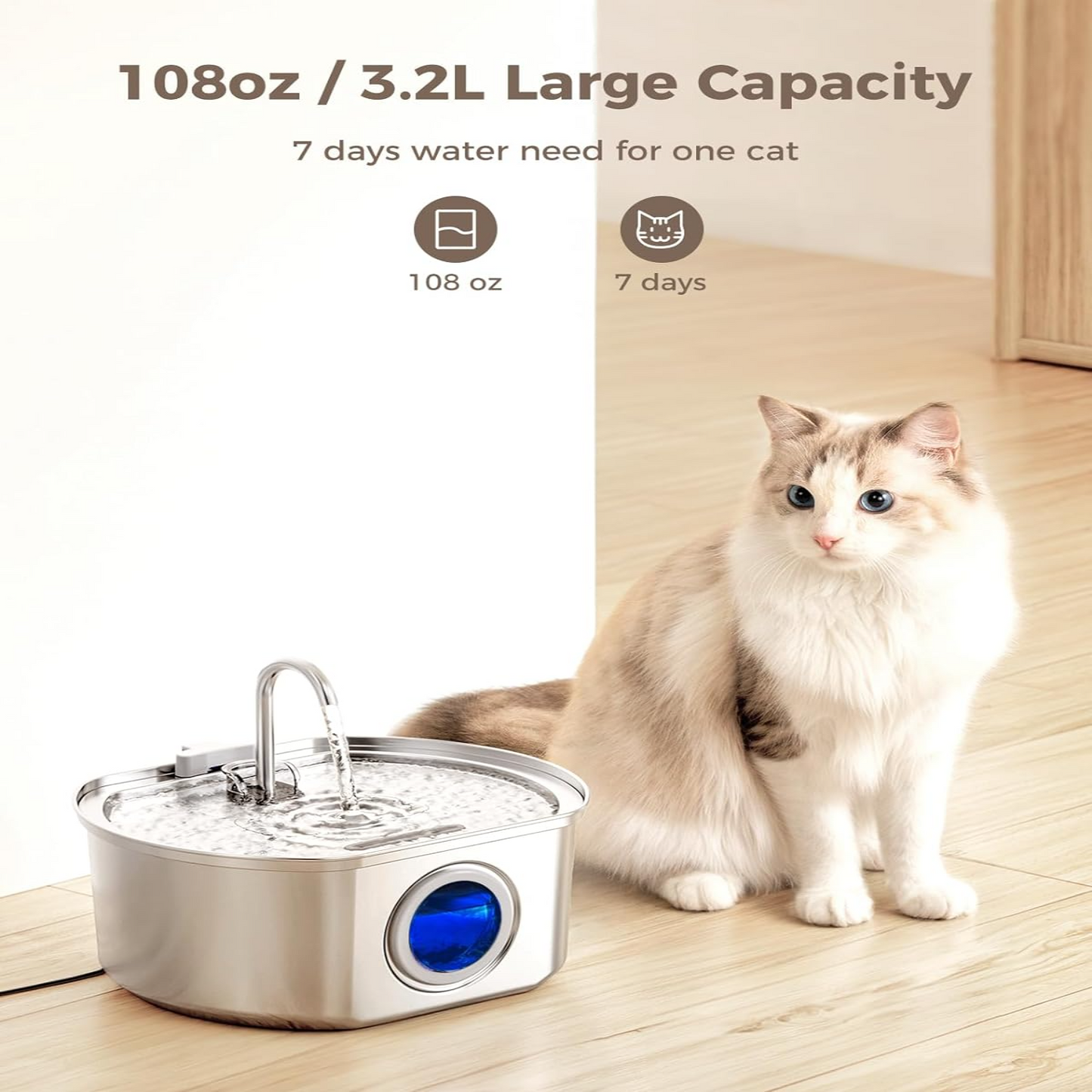 Give Your Cat Years More Healthy Life With Docure