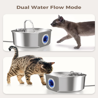 Give Your Cat Years More Healthy Life With Docure