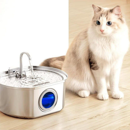 Give Your Cat Years More Healthy Life With Docure