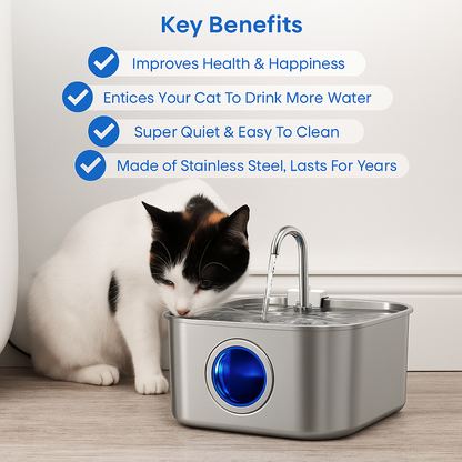 Give Your Cat Years More Healthy Life With Docure