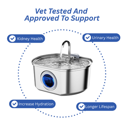 Give Your Cat Years More Healthy Life With Docure